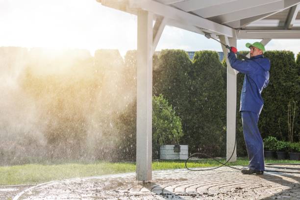 Best Soft Washing for Delicate Surfaces in Selma, TX