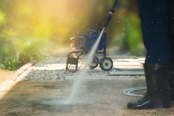 Best Driveway Cleaning and Restoration in Selma, TX
